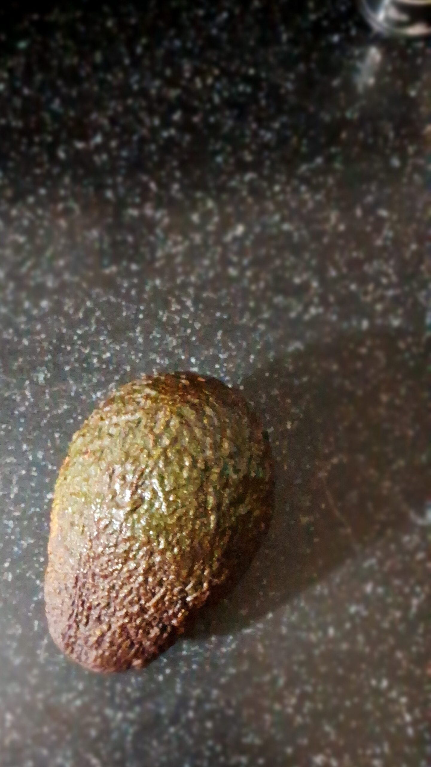 avocado